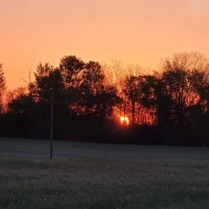 Meet your Posher, Terry